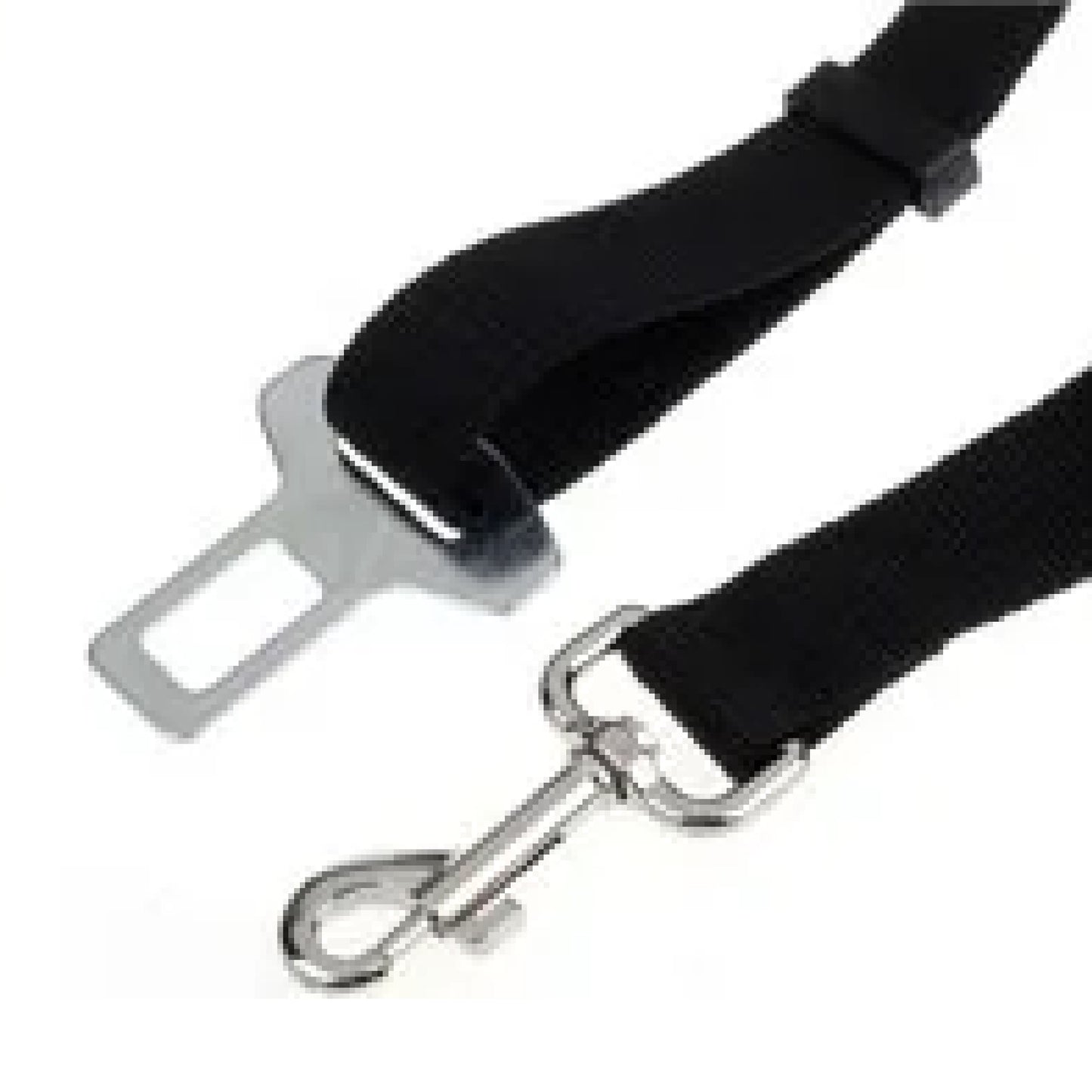 2-IN-1 SAFETY STRAP LEASH