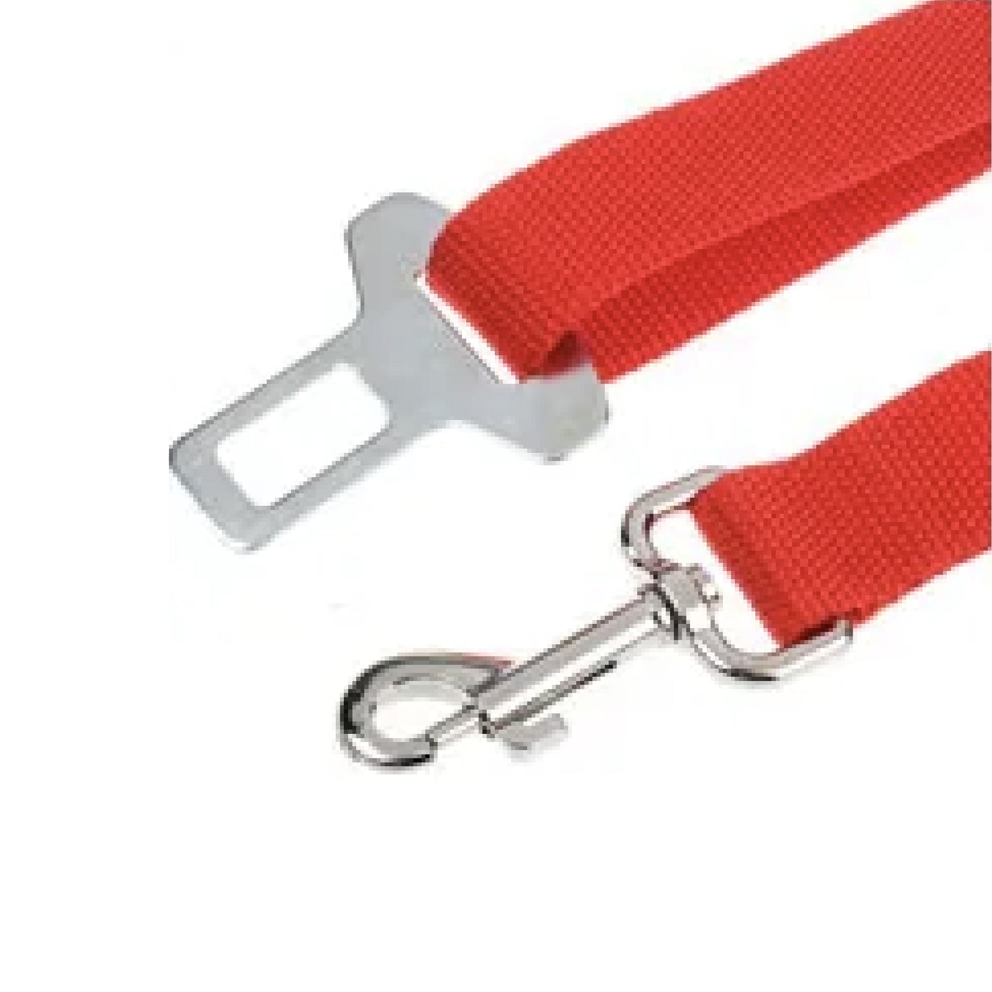 2-IN-1 SAFETY STRAP LEASH