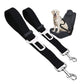 2-IN-1 SAFETY STRAP LEASH