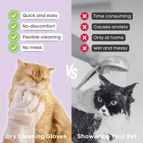 Cat Dry Cleaning Gloves