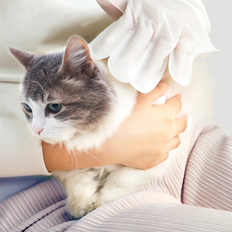 Cat Dry Cleaning Gloves