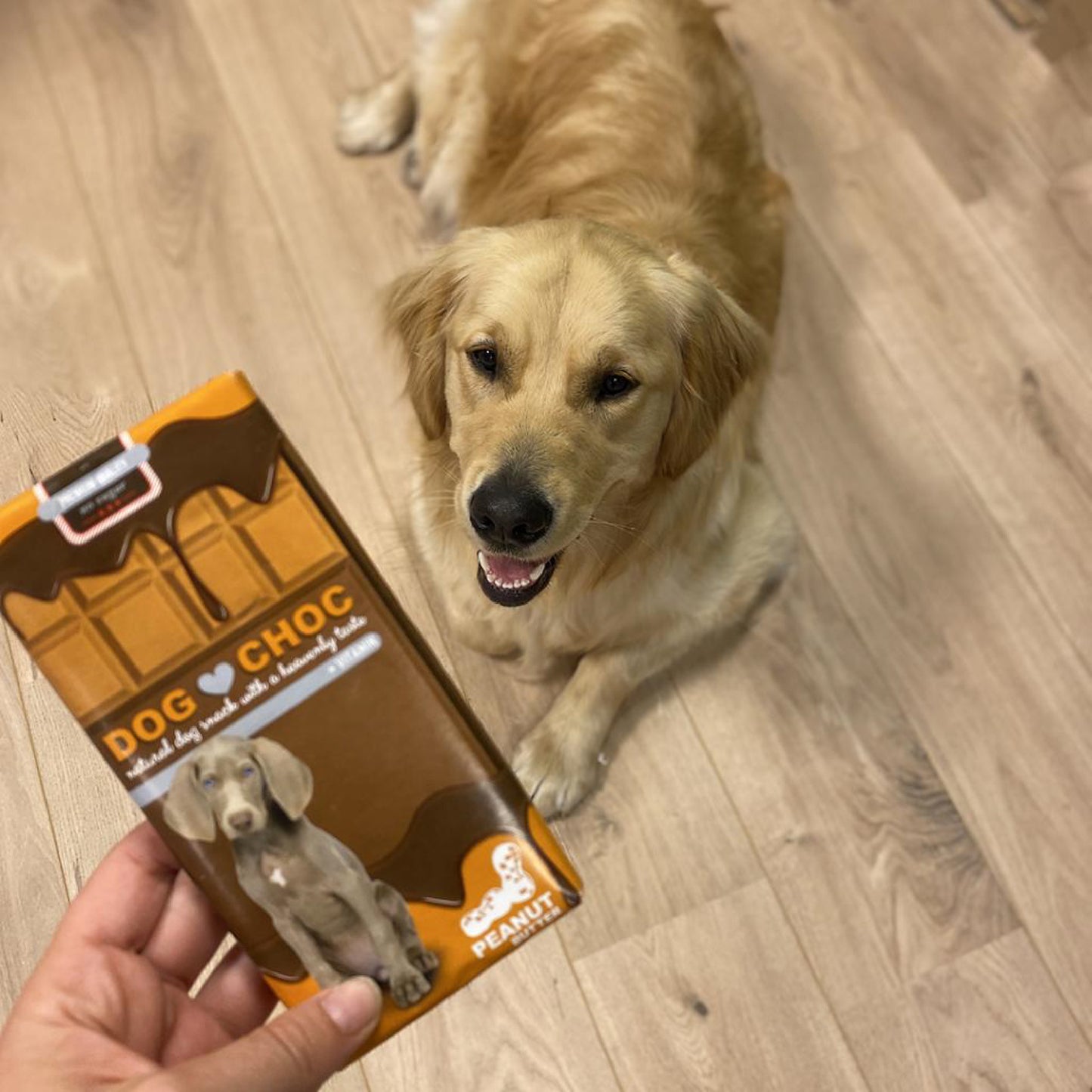 Dog Chocolate (100 gr)