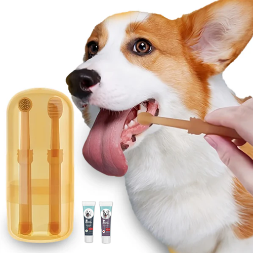 Dog Toothbrush (with toothpaste)