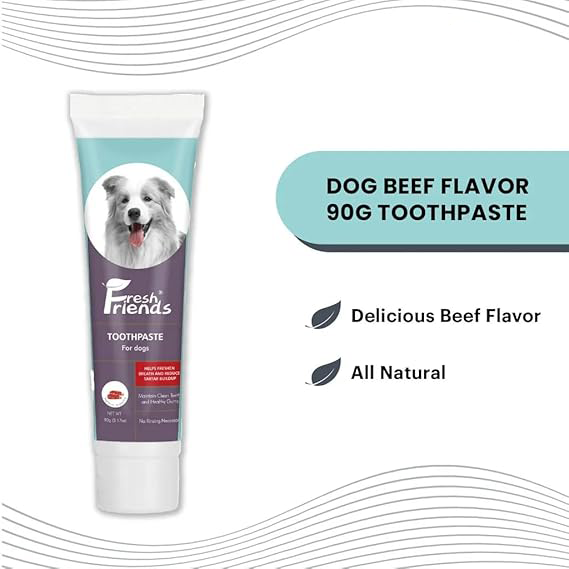 Dog Toothpaste (90gr)