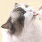 Premium Fish Oil for Cats