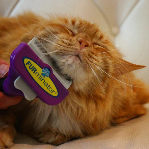 FURminator Deshedders for Cats