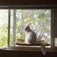 Cat Window Hammock