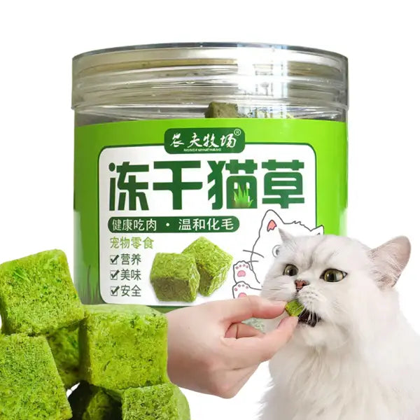 Cat Grass Treat