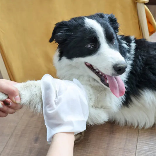 Dog Dry Cleaning Gloves