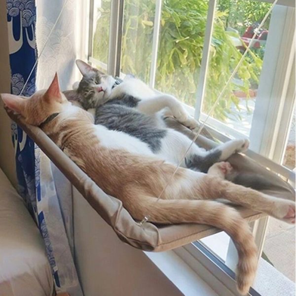 Cat Window Hammock