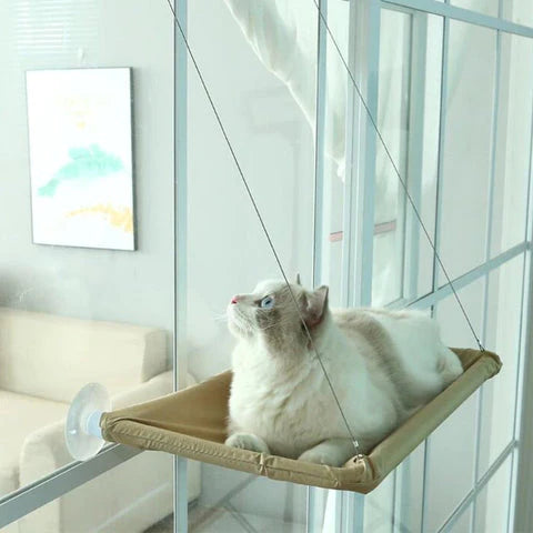 Cat Window Hammock