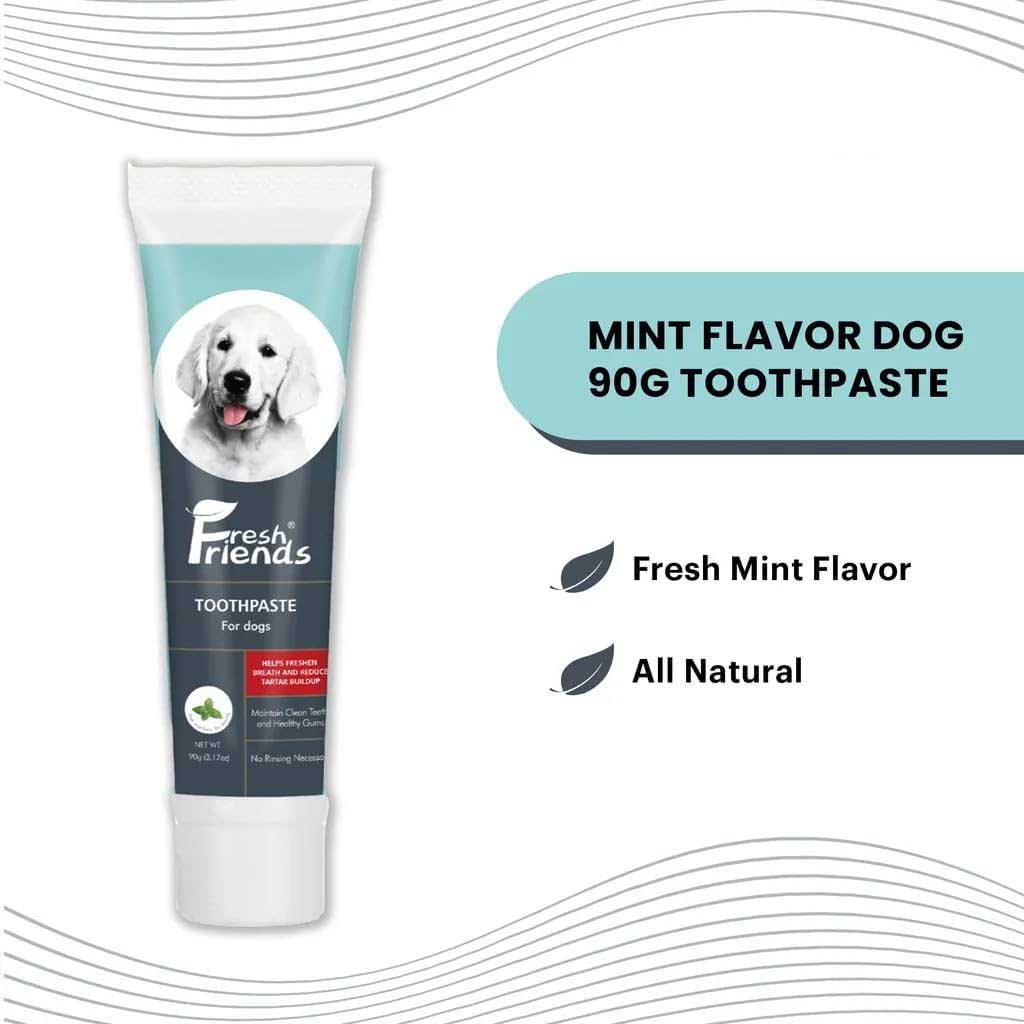 Dog Toothpaste (90gr)